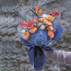 「破茧」-鹤望兰花束