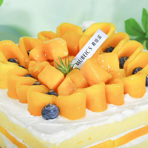 芒芒雪山（停用） 商品图1