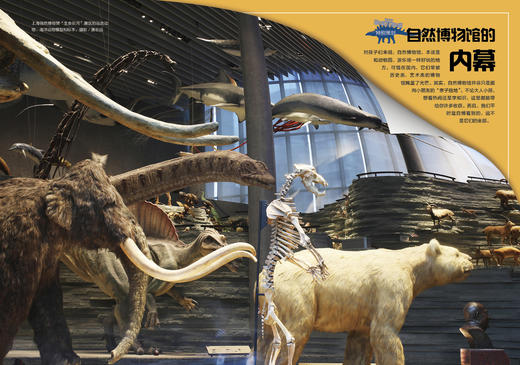 《博物》202105 自然博物馆 上海貉出没 青鳉 商品图3