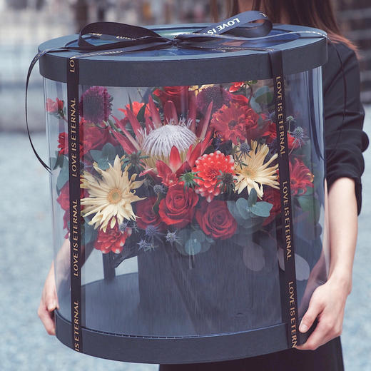 「诗和远方」-巨型霸气大型抱抱透视桶 商品图4