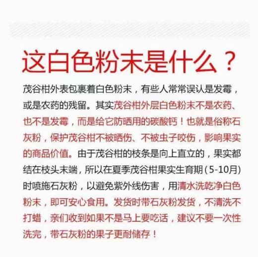 【广西茂谷柑】网红脏脏柑，皮薄肉厚爆汁！黄金酸甜比，带你体验深山“酿”出来的甜蜜~ 商品图14