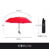 德国欧赛姆Euroschirm风暴伞轻量级碳纤折叠便携防晒防雷伞3019 商品缩略图2