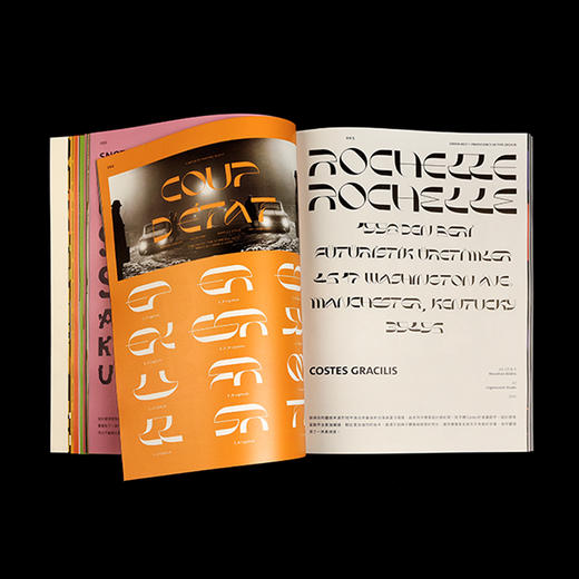 【BranD中文版】BranD杂志No.55期平面字体设计期刊书籍摔跤吧字体：外文字体设计 商品图5