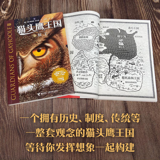 猫头鹰王国 1 奴工 商品图3