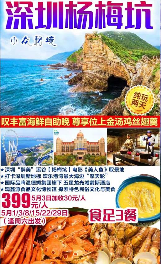 编号：31753613 【住5星龙光城戴斯酒店】￥399食足3餐纯玩2天！打卡《美人鱼》取景地·杨梅坑、打卡欢乐港湾最大海边“摩天轮”~ 商品图0