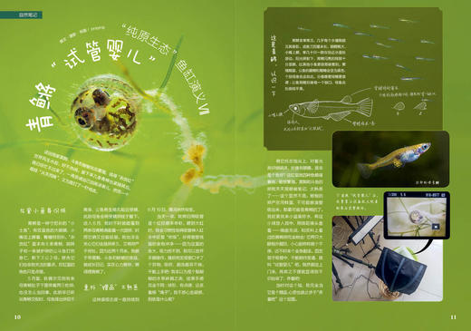 《博物》202105 自然博物馆 上海貉出没 青鳉 商品图1