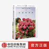 海蒂的花园 海妈著 园艺植物 家庭家居 500多万粉丝的种花大神 张辰亮蔡丸子宁远推荐 中信正版 商品缩略图0