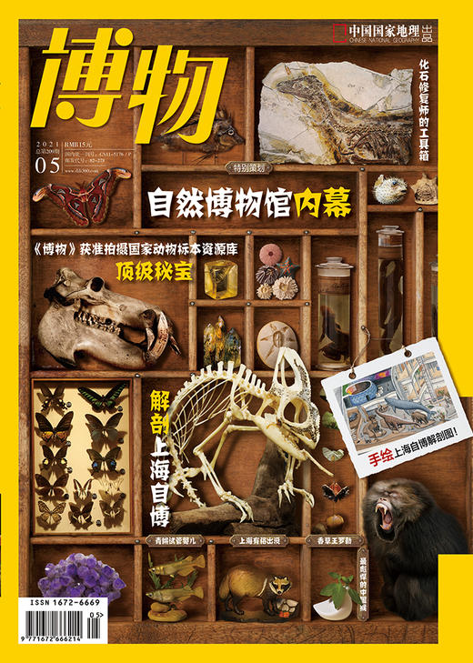 《博物》202105 自然博物馆 上海貉出没 青鳉 商品图0