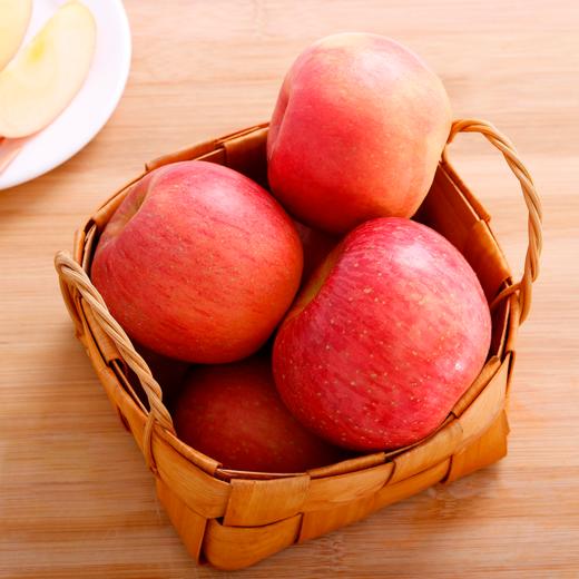 【礼包】宝宝营养均匀搭配 商品图3