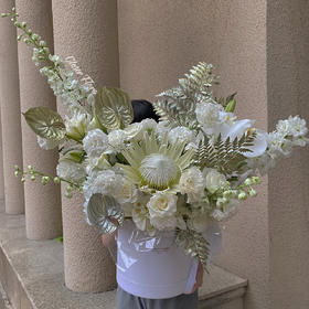 「夏夜晚风」-帝王抱抱桶