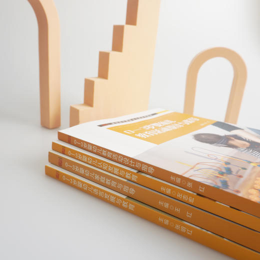 0-3岁婴幼儿早期教育 4册套 家教指导+活动设计+语言发展+认知发展 新标准早期教育专业系列教材 商品图2