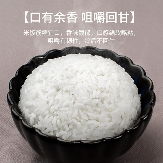 10kg五梁红义稻五常香米 商品图1