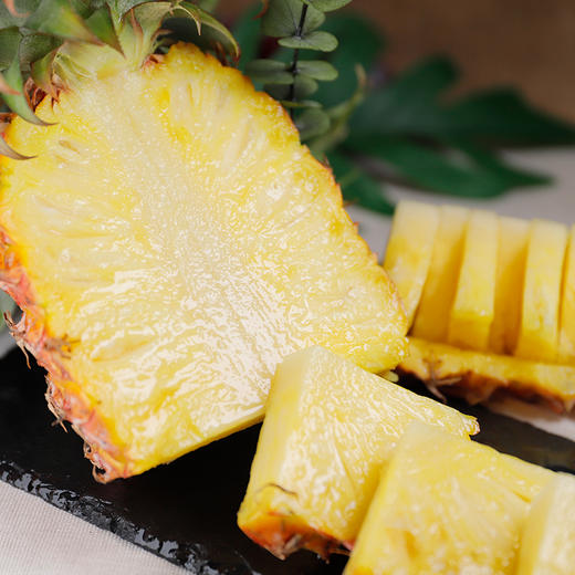 当季鲜果树上熟正宗海南金钻凤梨果肉饱满香甜多汁每一口都是满满果肉