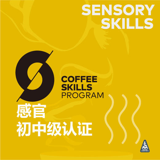 广州-SCA咖啡感官初中级 商品图0