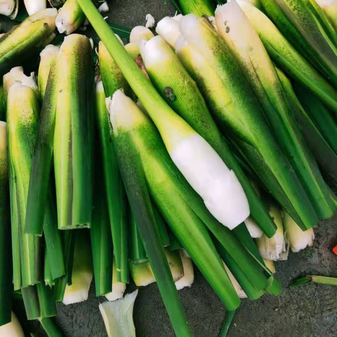 【地标产品】2022大别山岳西高山茭白 新鲜上市 3斤,4斤包邮