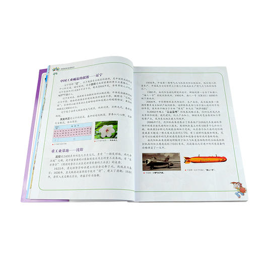 香港寻宝记 大中华寻宝漫画书系列19 中国地理百科 商品图1