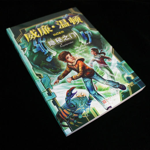 隐秘之门 威廉温顿科幻系列 科幻版 哈利波特 少年版 达芬奇密码 奇幻 儿童文学3000839 商品图2
