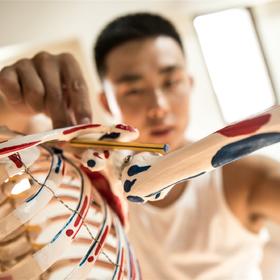 功能性训练—骨盆中正