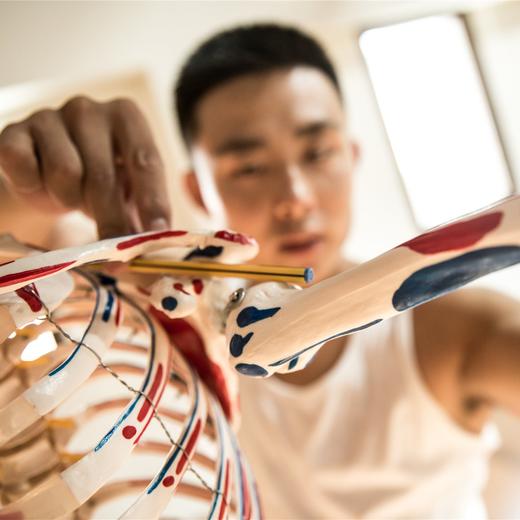 功能性训练—骨盆中正 商品图0