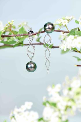 「DNA」11mm大溪地珍珠耳环