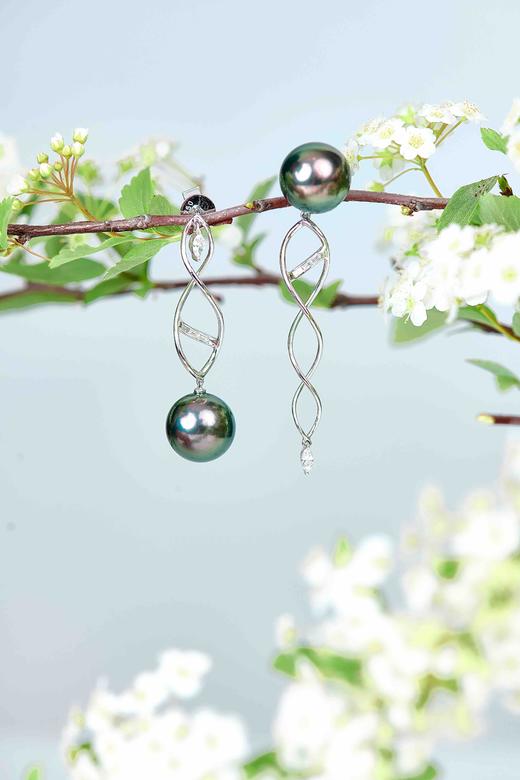 「DNA」11mm大溪地珍珠耳环 商品图0