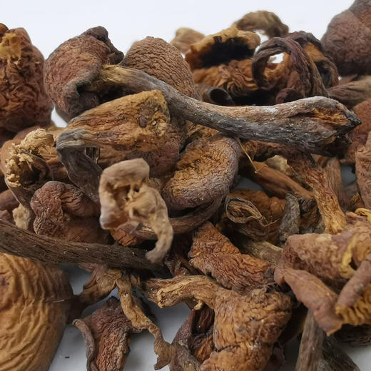 溢田榛蘑160g 2瓶【厂家直供】 商品图3