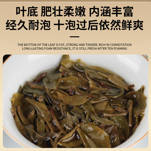 一球2021年盎然生茶357g 商品图4