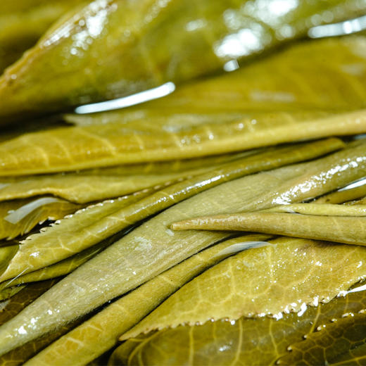 【孔雀古茶青饼】2021年普洱生茶勐海老班章头春饼茶357g 商品图1