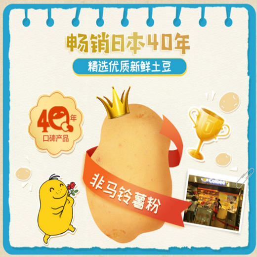 【4袋】日本进口湖池屋淡盐味薯片60g*4 商品图2