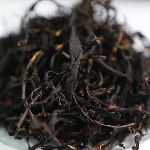 野生红茶 商品图2
