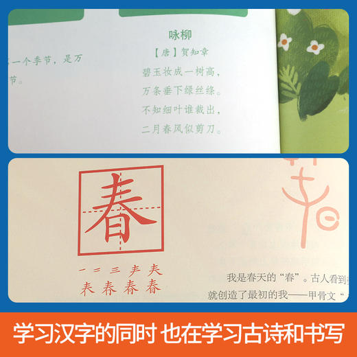 画给孩子的汉字书 (另赠讲给孩子的汉字故事书1册）幼小衔接 3-6岁 商品图3