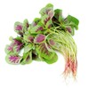 红苋菜 Red Amaranth 250g 商品缩略图0