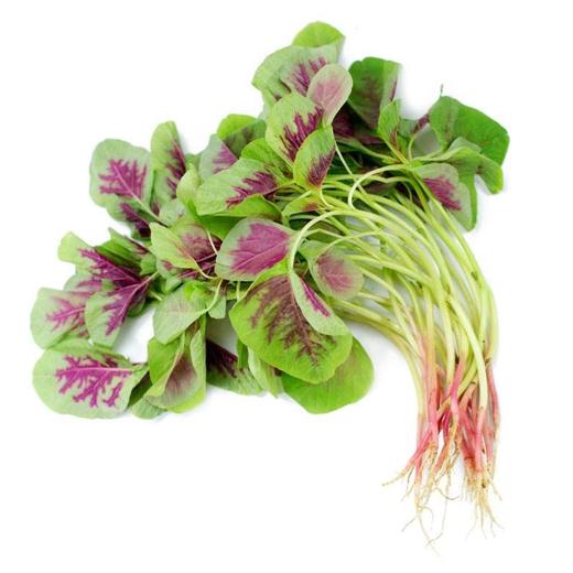 红苋菜 Red Amaranth 250g 商品图0