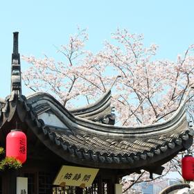 开启江南水乡慢时光，无锡巡塘书香府邸酒店 