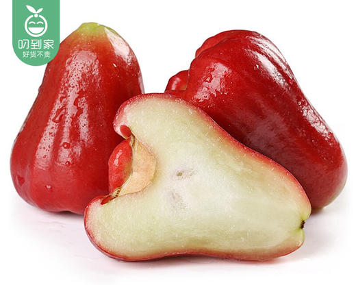 海南黑金刚莲雾（中果）/1份（750g±50g） 商品图2