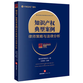 知识产权典型案例律师策略与法律分析 王承恩 盈科全国业务指导委员会系列丛书