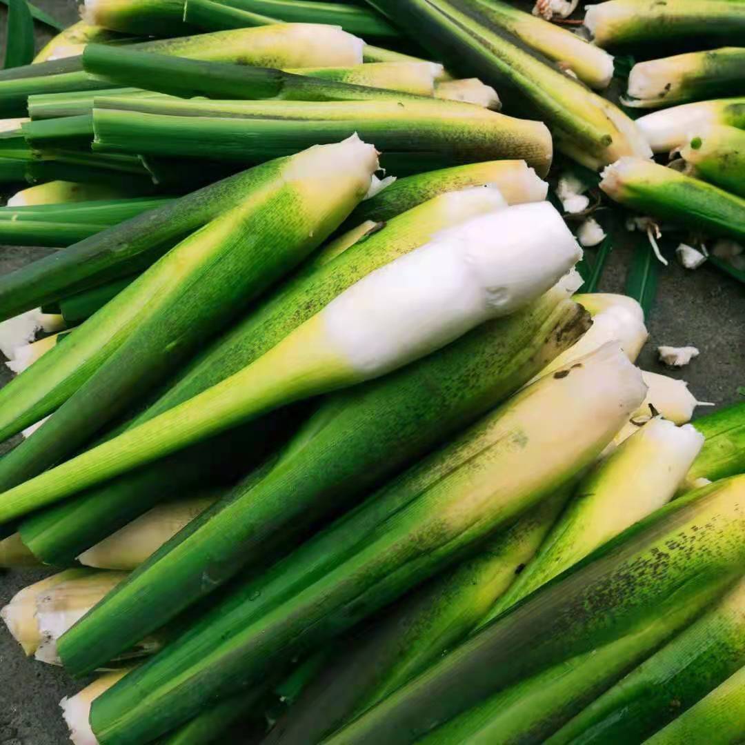 【地标产品】2022大别山岳西高山茭白 新鲜上市 3斤,4斤包邮