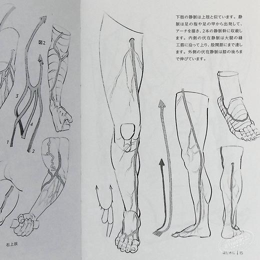 【中商原版】究极的肌肉画法 morpho人体素描 日文原版 究極の筋肉ボディを描く モルフォ人体デッサン ミニシリーズ 商品图6