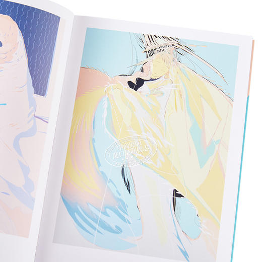 【中商原版】pib book系列画集 漂流 BOX特装版 日文原版 FLOW 特装版 商品图3