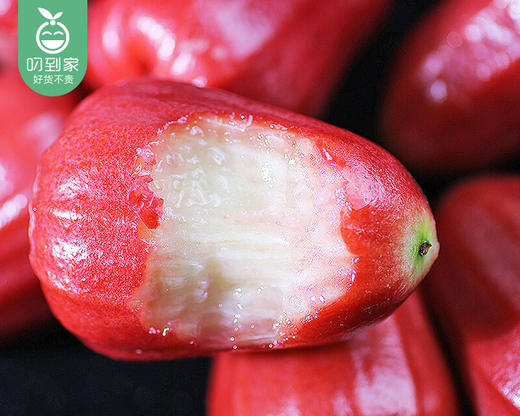 海南黑金刚莲雾（中果）/1份（750g±50g） 商品图5