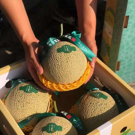 海南牛3玫珑瓜 商品图3