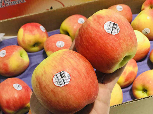 智利ambrosia神仙苹果脆甜多汁非常清脆果味浓郁好吃单颗约200g