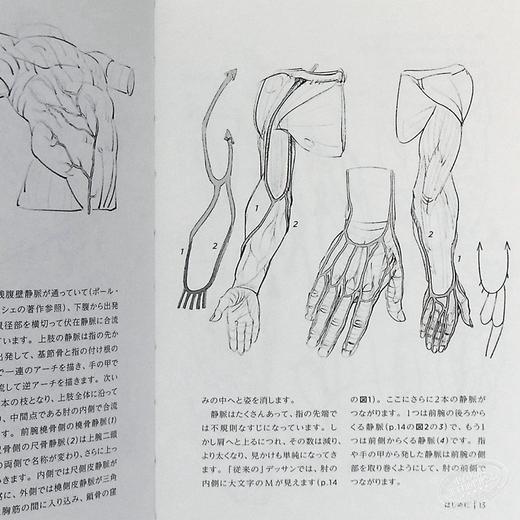 【中商原版】究极的肌肉画法 morpho人体素描 日文原版 究極の筋肉ボディを描く モルフォ人体デッサン ミニシリーズ 商品图5
