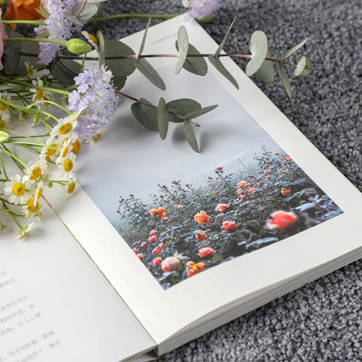 【签名版】海蒂的花园 海妈著 园艺植物 家庭家居 500多万粉丝的种花大神 张辰亮蔡丸子宁远推荐 中信出版 商品图3