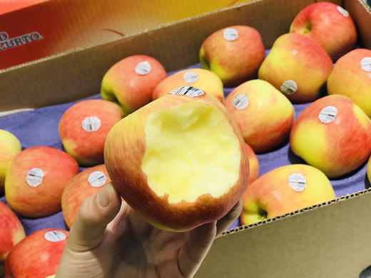 智利ambrosia神仙苹果脆甜多汁非常清脆果味浓郁好吃单颗约200g