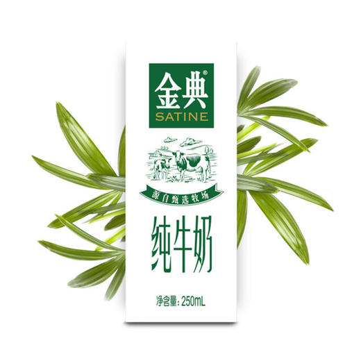伊利金典纯牛奶【250ml*12】 商品图1