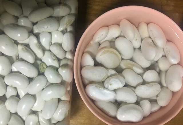 高山雪豆丨600g(牧云坡)