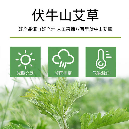 【洗澡用艾皂，一年身体好】艾皂艾叶手工皂洁面艾草香皂精油皂洗澡洗脸沐浴洁面全身通用器 商品图3