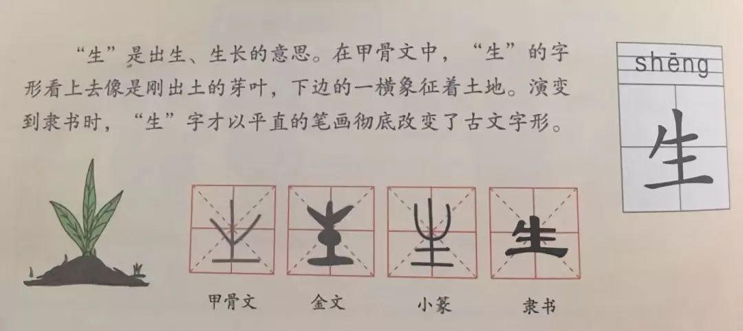 不用死记硬背也能学好汉字，《画给孩子的汉字故事》一本从未见过的“汉语宝典”