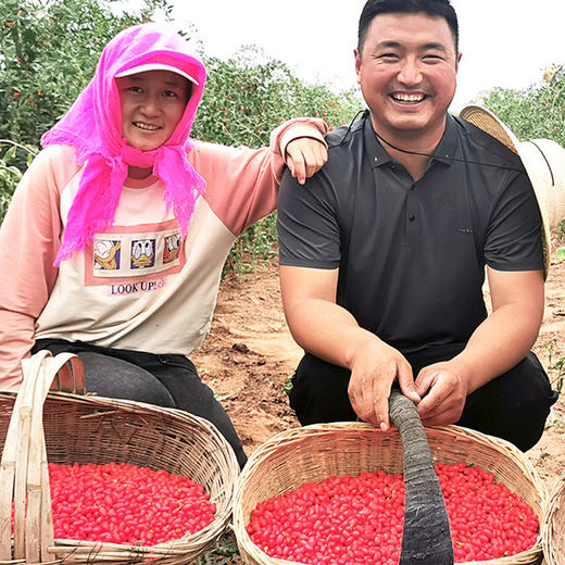 宁夏大有杞色-【富硒】枸杞干果250g/500g【罐装】 商品图2